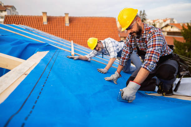 Professional Roofing Services in Patrick Springs, VA